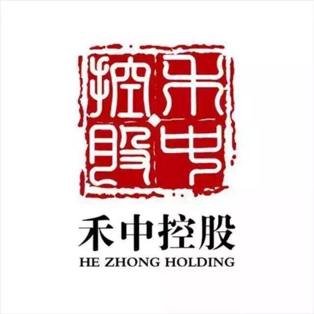 禾中控股集團(tuán)最新消息概覽，權(quán)威指南發(fā)布