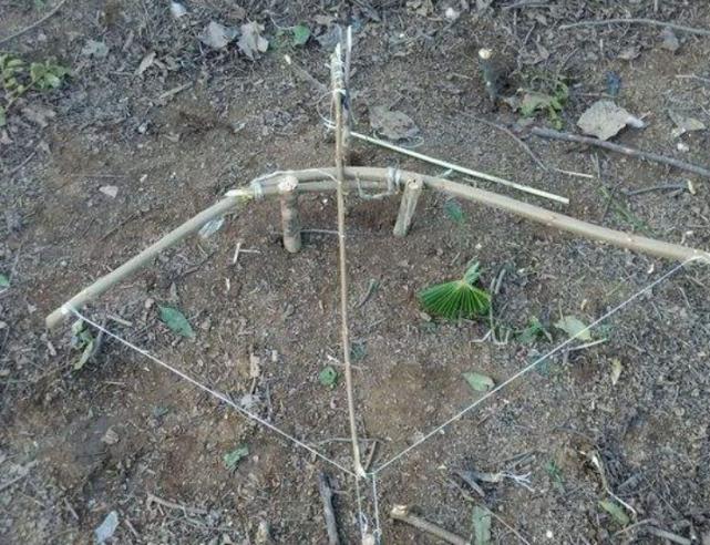 叢林大作戰(zhàn)最新版本攻略，任務完成與技能學習指南（初學者的進階之路）