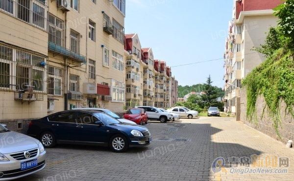 寧國房屋出租最新動態(tài)更新，最新房源信息速遞