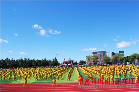 綏濱縣趙國友最新消息全解析，獲取指南與進(jìn)階技巧