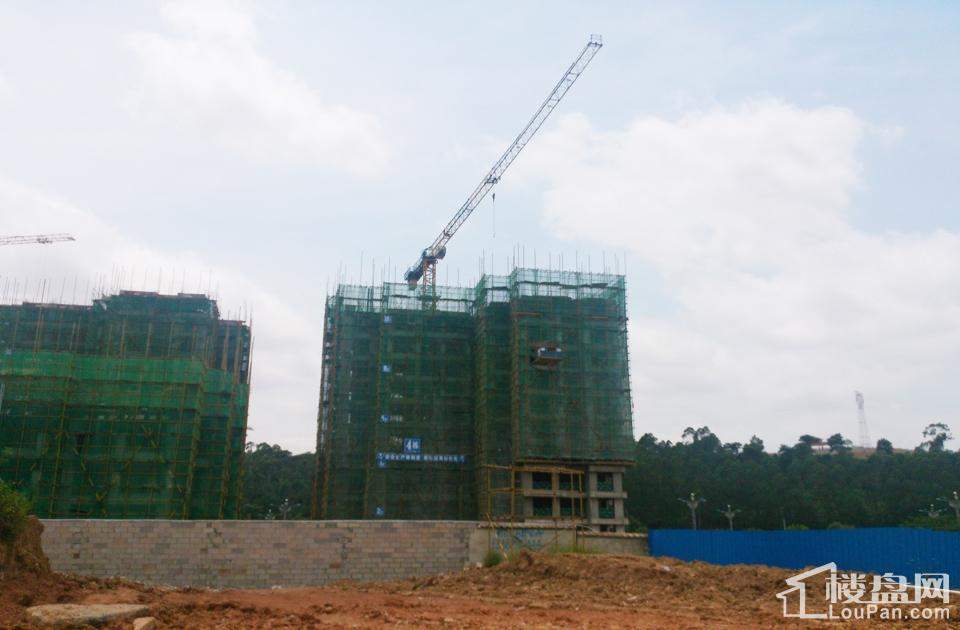 漢軍五象一號科技引領(lǐng)未來，最新動態(tài)揭秘生活重塑之力