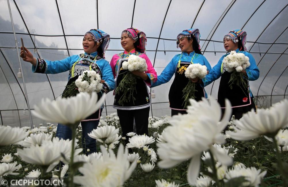 黔西縣鐘山鎮(zhèn)最新動態(tài)，溫馨日常的點(diǎn)滴記錄