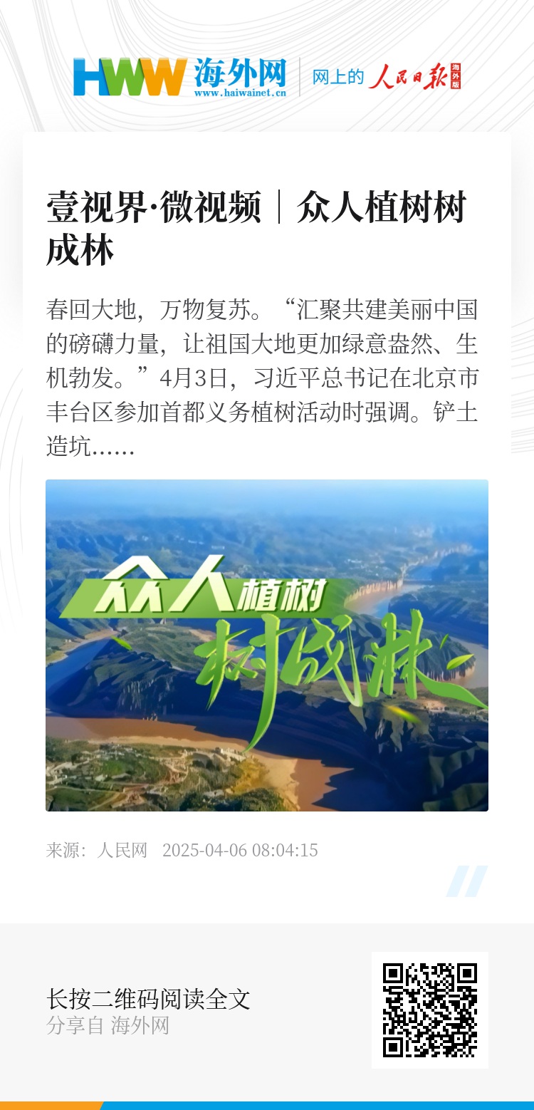 長青樹眾籌最新動態(tài)，小巷驚喜與特色小店的獨(dú)特魅力探索