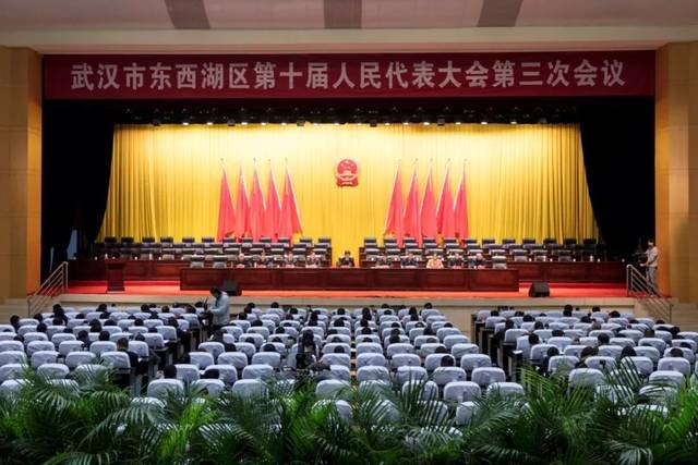 東西湖區(qū)最新任免，人事變動的觀點闡述與解析