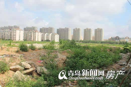 李滄楊哥莊最新動(dòng)態(tài)，科技引領(lǐng)生活，智能新品體驗(yàn)未來(lái)