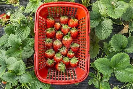 水悅龍庭證件最新進(jìn)展，自然美景探索之旅啟幕