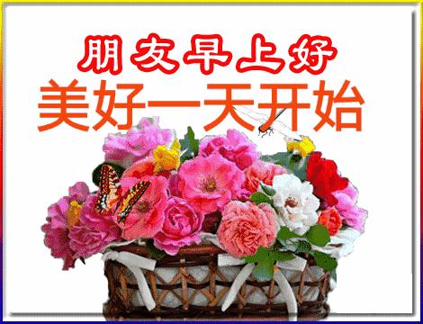 五福碰胡最新版下載，變化、學(xué)習(xí)與自信的力量之源