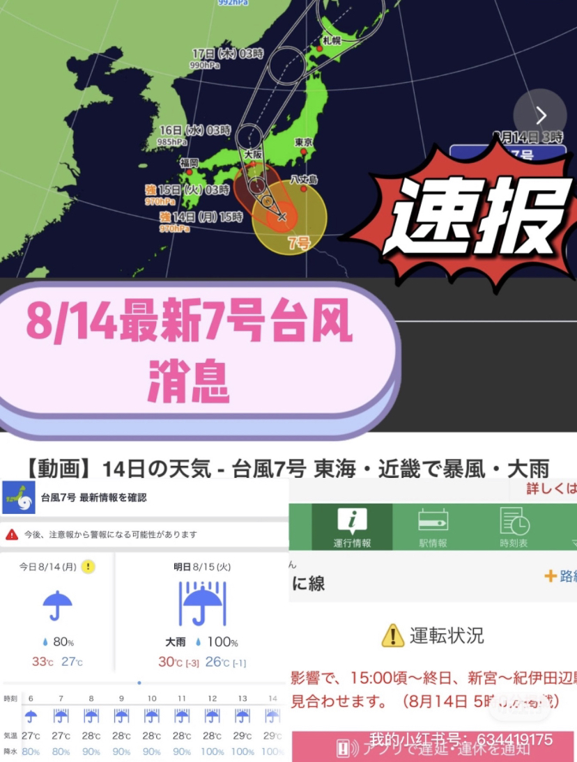 臺(tái)風(fēng)來襲，知識(shí)海洋并肩作戰(zhàn)，最新關(guān)于臺(tái)風(fēng)12號(hào)的消息報(bào)告