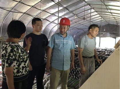 陳瑤湖汪朝龍，心靈與自然的美妙之旅最新報(bào)道