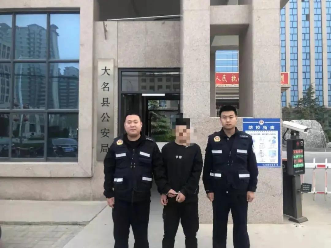 大名出租房屋最新動(dòng)態(tài)，全面指南與最新消息