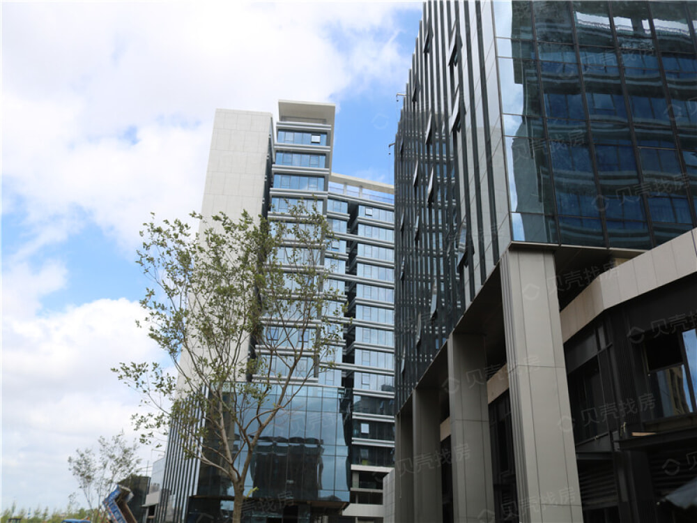 蔚藍(lán)創(chuàng)新天地最新動(dòng)態(tài)揭秘，科技小子的日常趣事