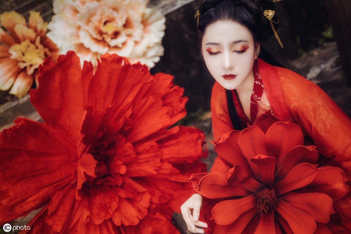 三亞海棠月色最新動(dòng)態(tài)更新，最新消息匯總