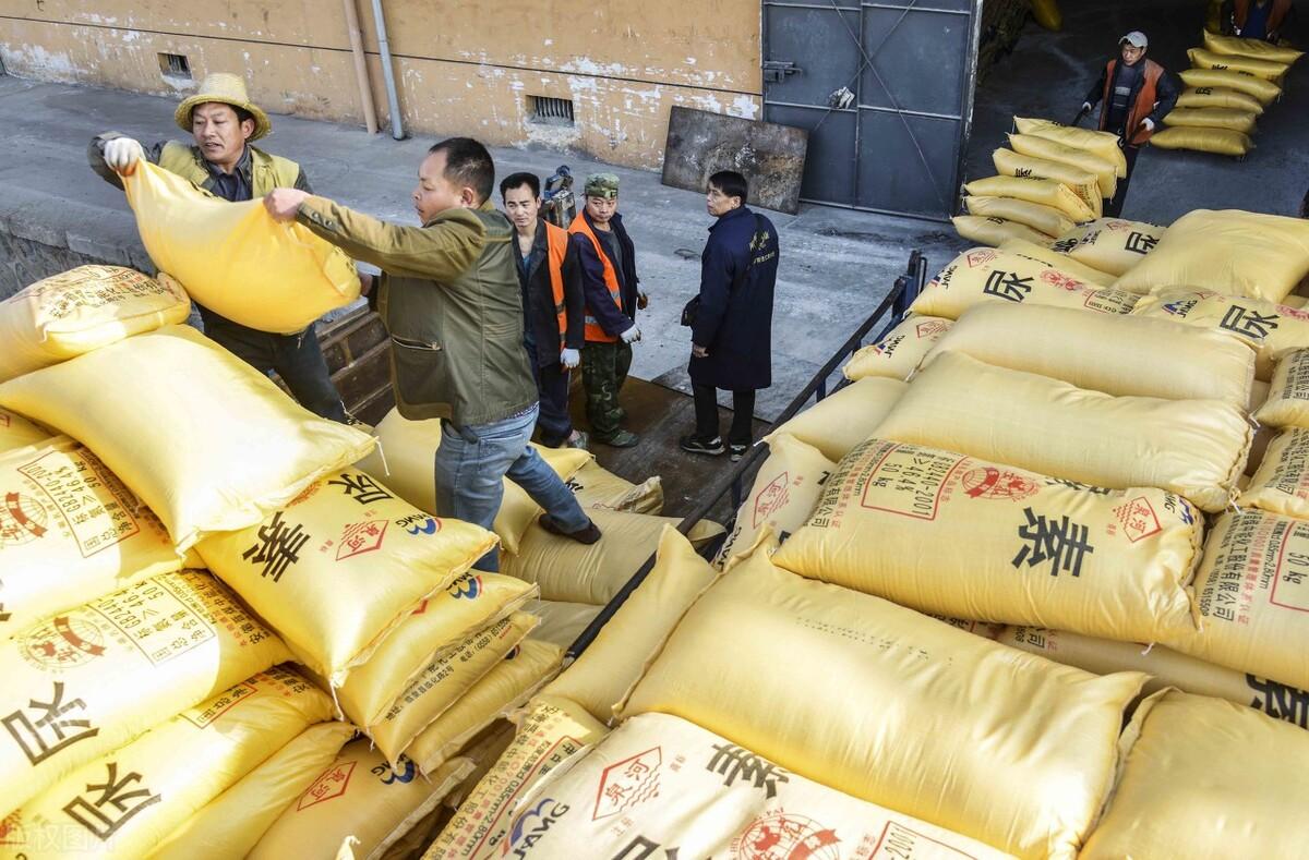 全國尿素最新價(jià)格，科技重塑生活下的新面貌