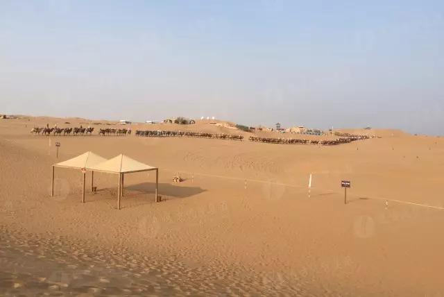 寧夏自駕游攻略大揭秘，最新攻略分享