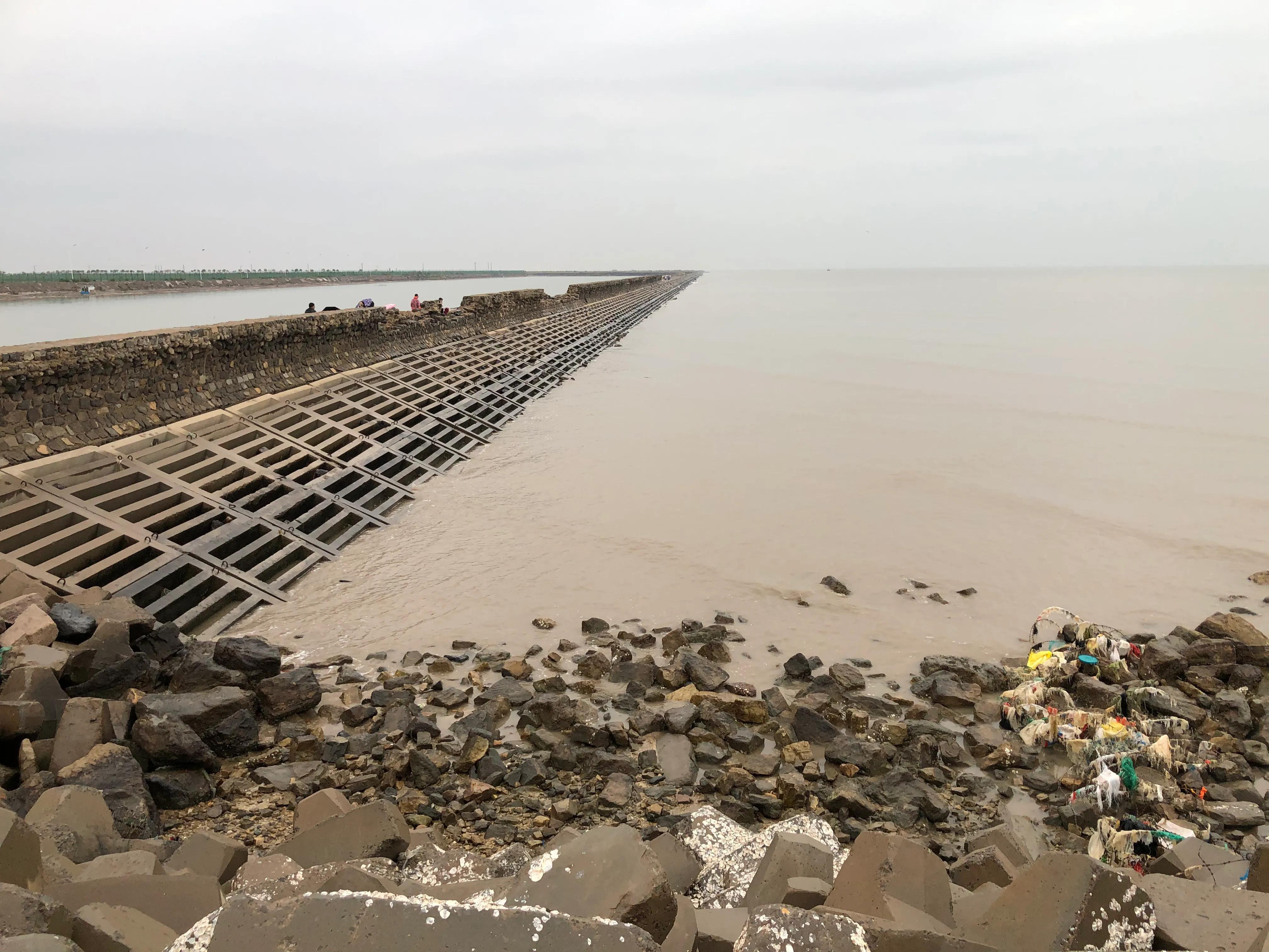 黃驊港最新招聘動態(tài)，日常招聘故事與友情紐帶