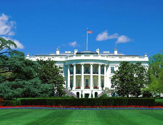 探索自然美景魅力的心靈之旅，最新紙品資訊與動(dòng)態(tài)