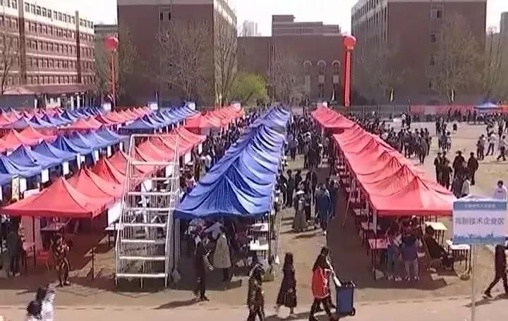 臨淄招聘最新動態(tài)，友情紐帶與家的溫馨之旅