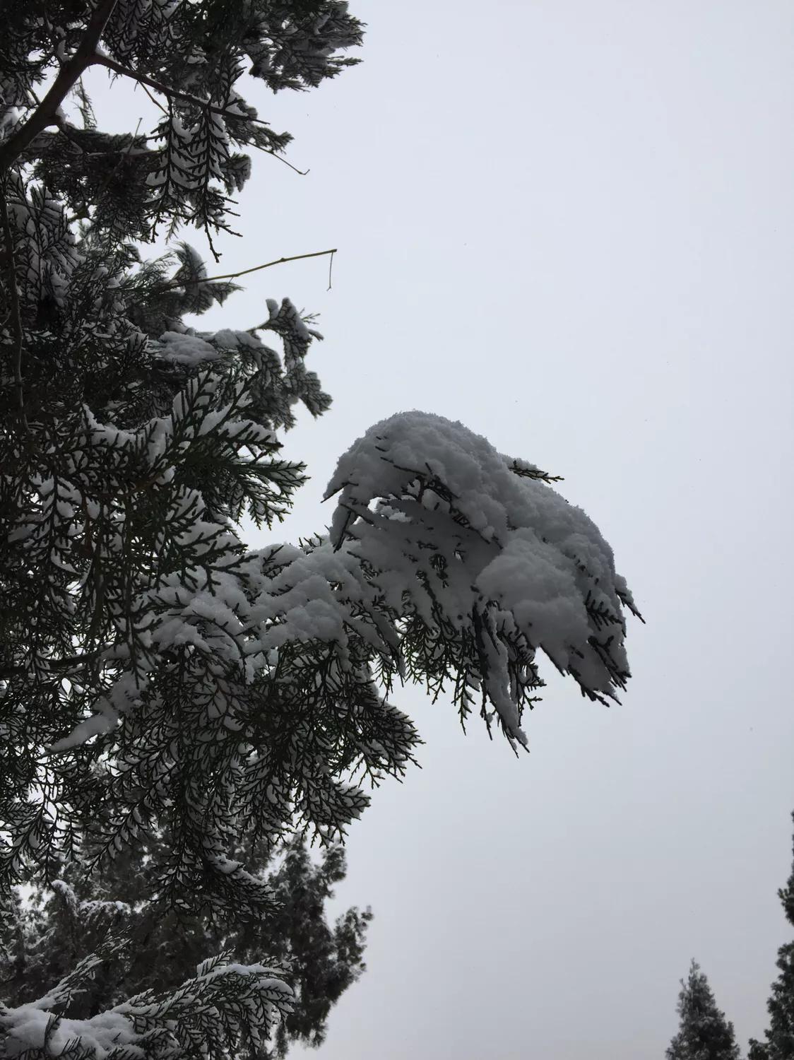 無錫馬山最新規(guī)劃揭秘，規(guī)劃下的生活日常探索