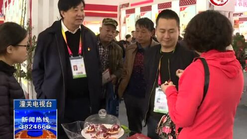 潼關(guān)最新新聞報道更新速遞