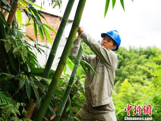 寧德臺風(fēng)最新動態(tài)，科技智能守護安全前沿