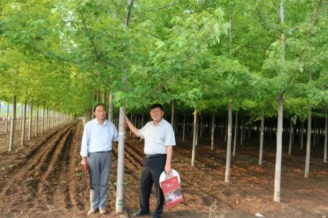 智能苗木管家，科技引領(lǐng)綠色新生活，最新苗木求購(gòu)消息一網(wǎng)打盡