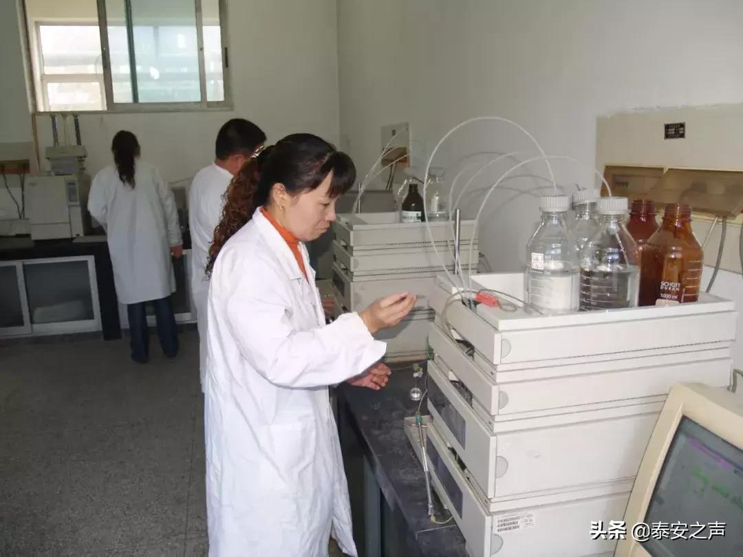 化工最新招聘，友情與夢想的啟程之旅