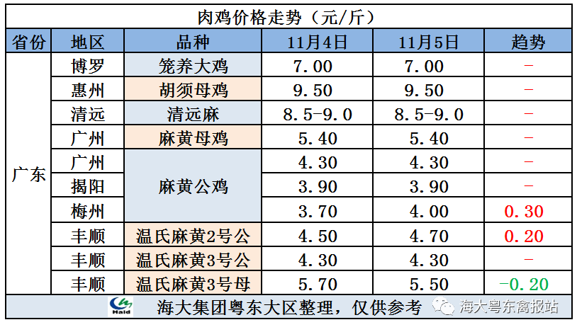 廣東雞價最新行情，心靈與自然的旅行交響曲