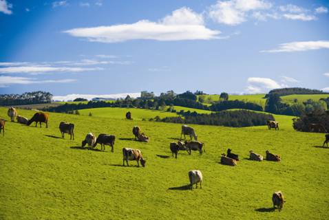 時(shí)代見證，最新牧場(chǎng)及其背景與重大事件概覽