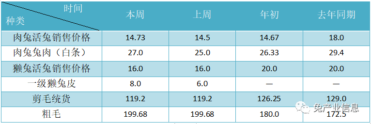 獺兔價(jià)格最新行情揭秘，溫情故事在兔子洞展開