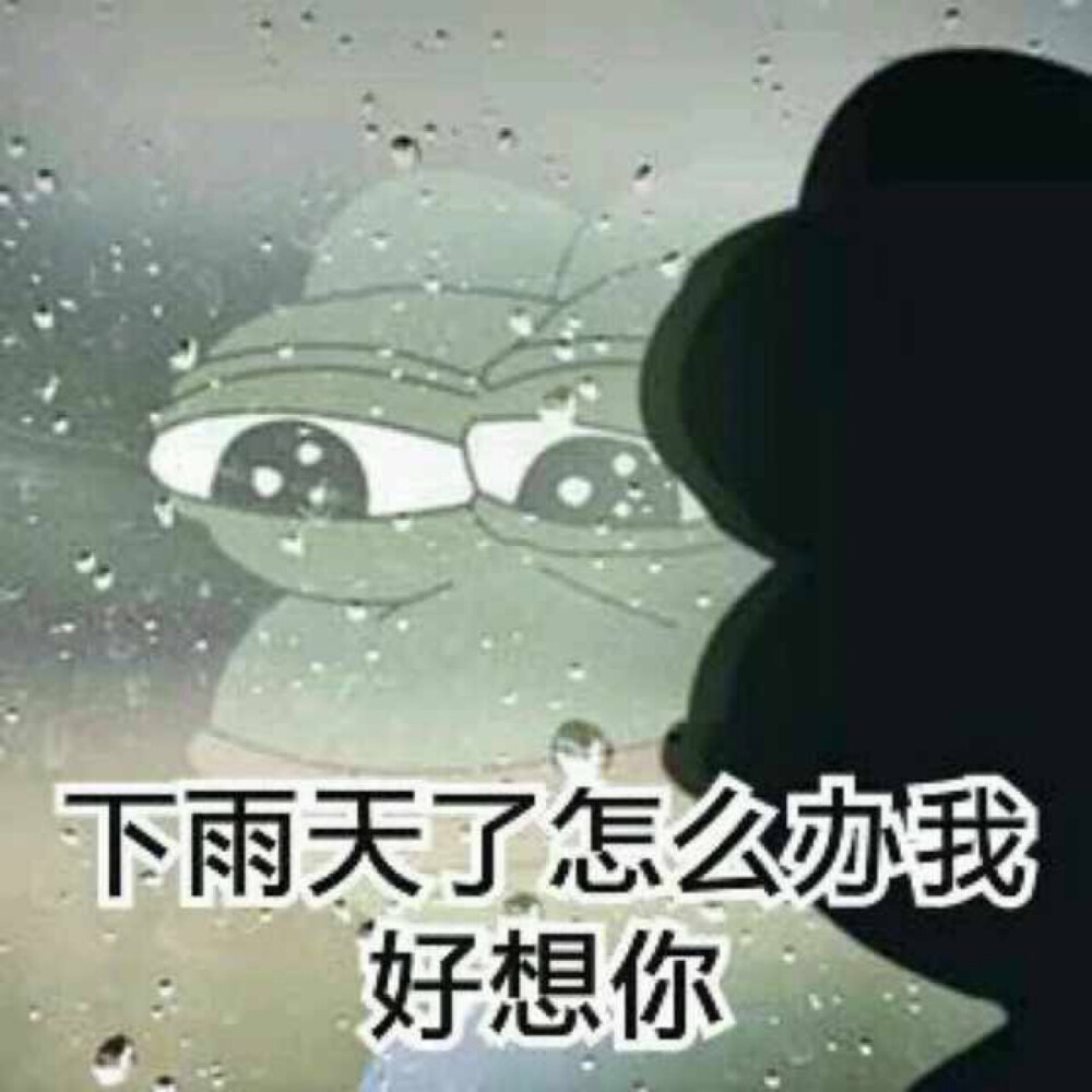 微信下雨表情包，網(wǎng)絡(luò)文化現(xiàn)象的深度探析