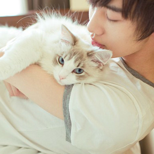 溫馨抱貓日常，最新流行情頭，感受人與貓的深情瞬間