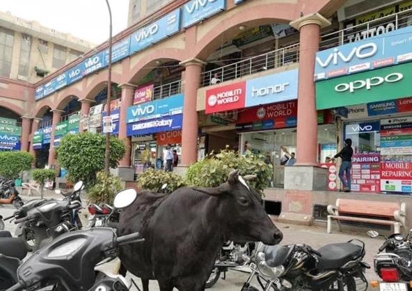 部落沖突OPPO最新版深度解析，優(yōu)劣與我的觀點分享