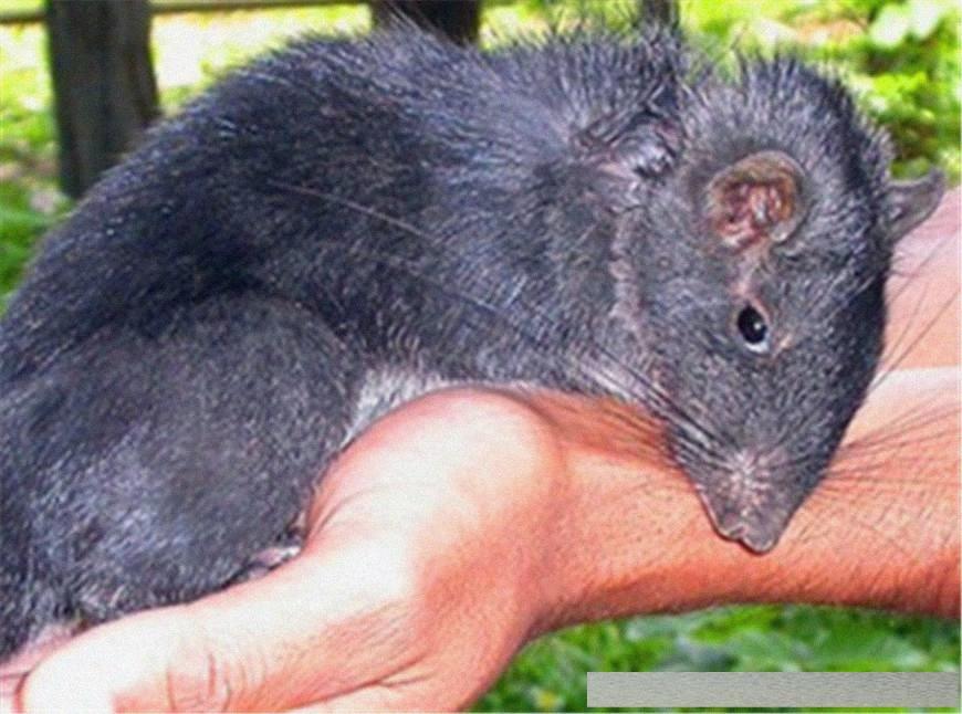 穿越火線4月探索自然美景活動(dòng)，尋找內(nèi)心的平和與寧?kù)o之旅