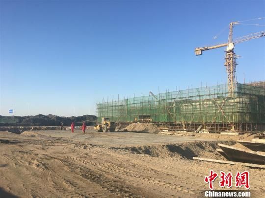 唐山豐南港最新動態(tài)，港口邊的溫情故事