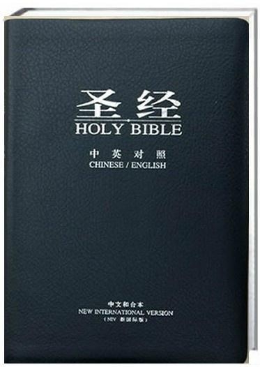 圣經(jīng)最新版本，科技與信仰的交融之作