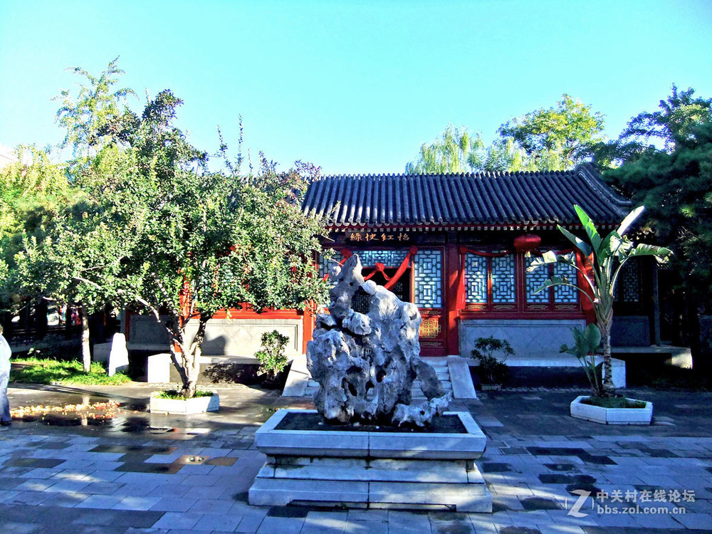 最新怡春院手機(jī)在線，日常趣事與情感紐帶連接的世界