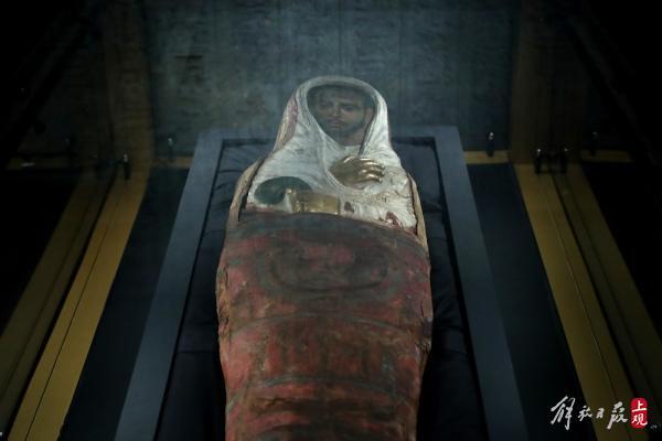 科技前沿，布醫(yī)無名的新產(chǎn)品革新與體驗(yàn)革新最新章節(jié)