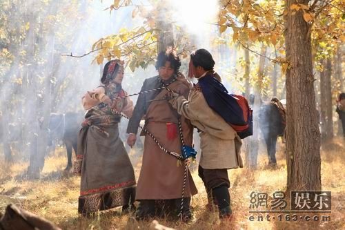 最新藏族電視劇全集盤點