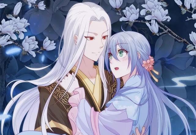 侯門寵妻，古代豪門婚姻生活的深度解讀最新章節(jié)解析