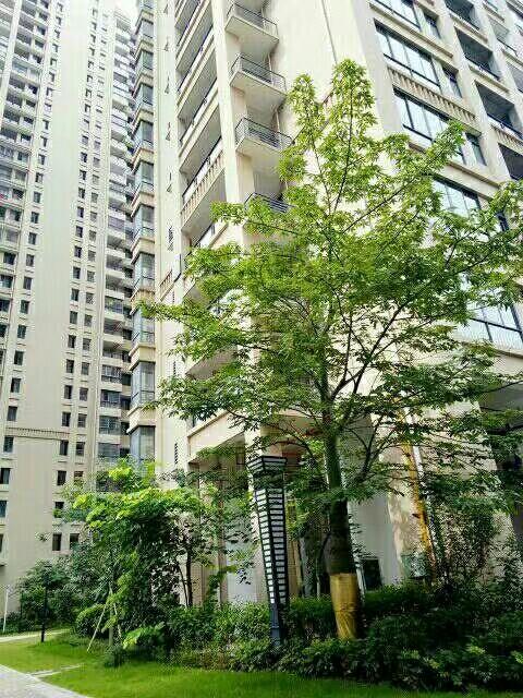 力沃幸福里最新動態(tài)，學習變化，成就自信與幸福之源