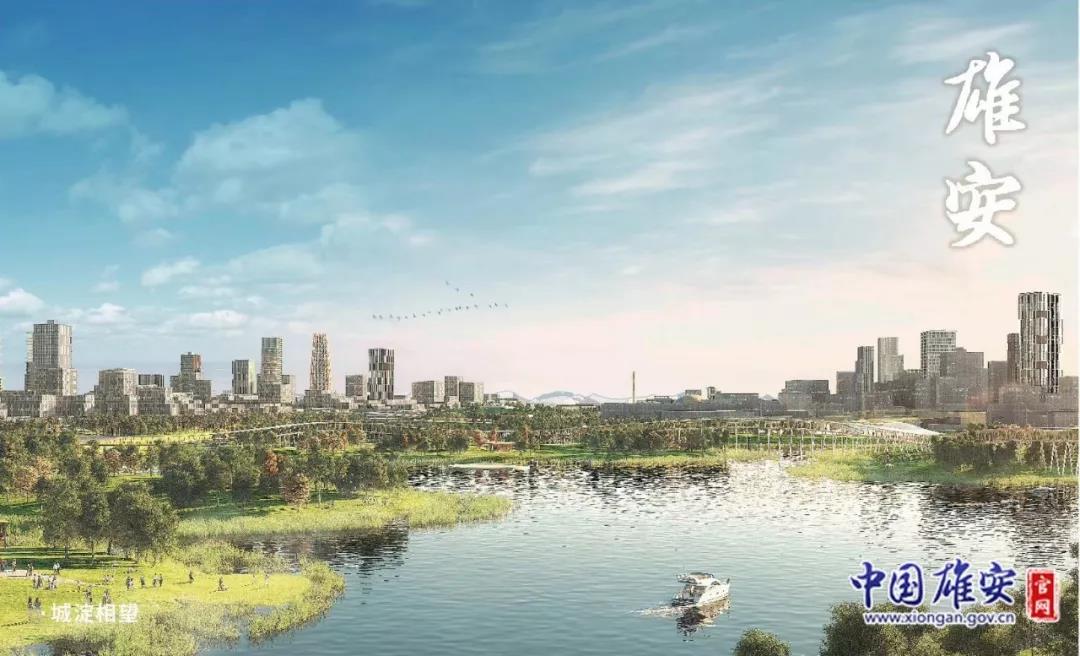 雄安新區(qū)論壇熱議，變化中的自信與成就感的碰撞