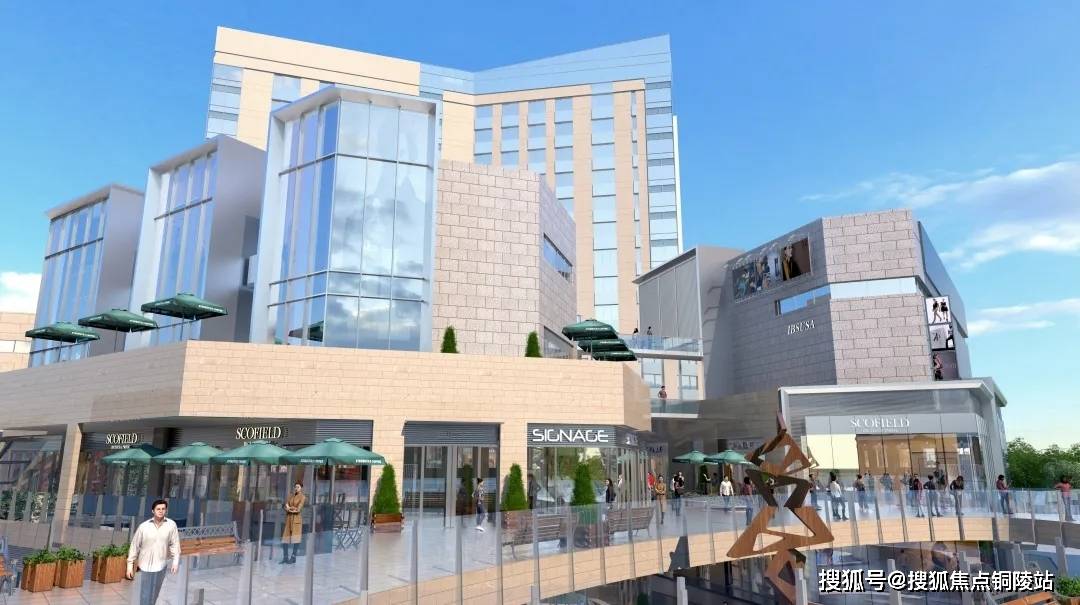 木心最新動態(tài)，探索藝術(shù)與生活的新篇章