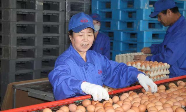 太仆寺旗寶昌最新房價(jià)，家的溫暖與房地產(chǎn)市場動態(tài)