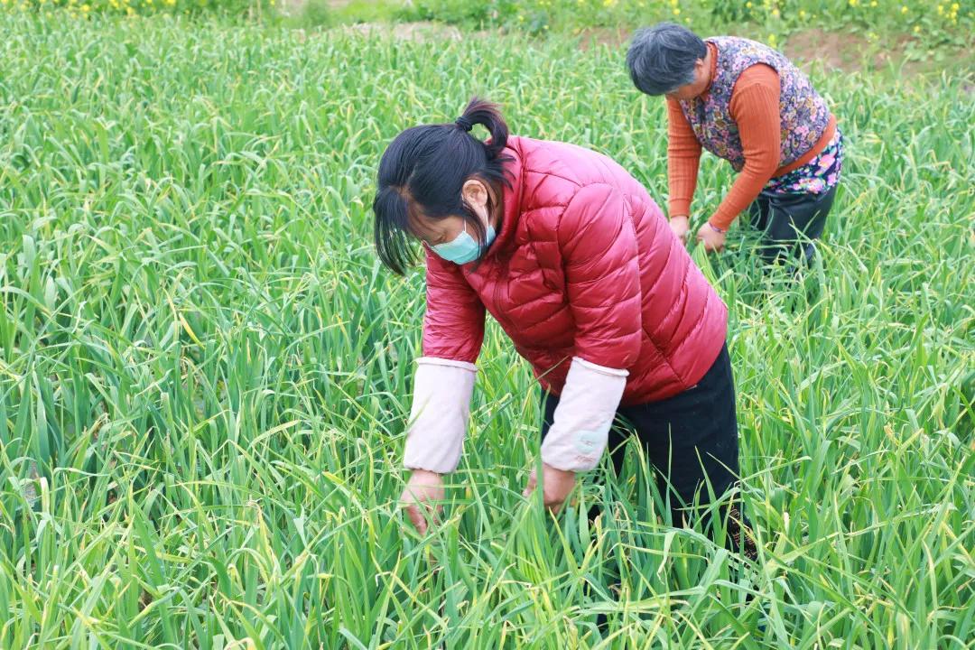 徐州豐縣最新招工信息一覽，獲取指南與招聘信息匯總