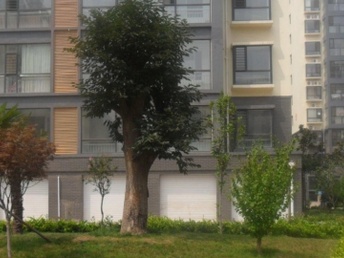 臨沭租房最新信息大全，便捷生活從此開(kāi)始