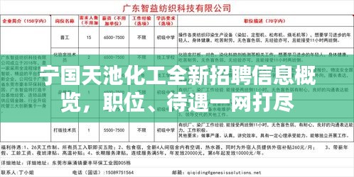 寧國(guó)白班最新招聘信息，職業(yè)繁榮與機(jī)遇在時(shí)代背景下的展現(xiàn)
