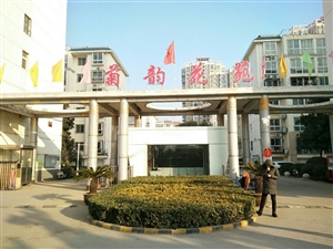 最新社旗獨(dú)家小院出售，市場(chǎng)趨勢(shì)、正反觀點(diǎn)分析與個(gè)人立場(chǎng)探討