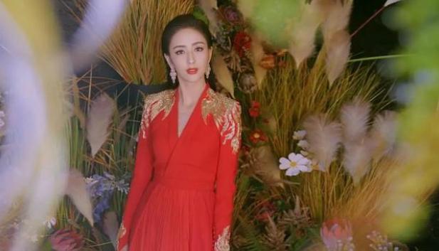 佟麗婭最新新聞，獲取與解讀明星資訊的步驟指南