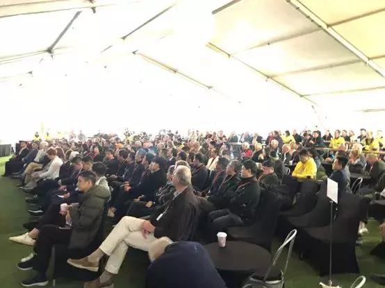 最新鋯英砂價(jià)格揭秘，小巷寶藏砂店探秘之旅