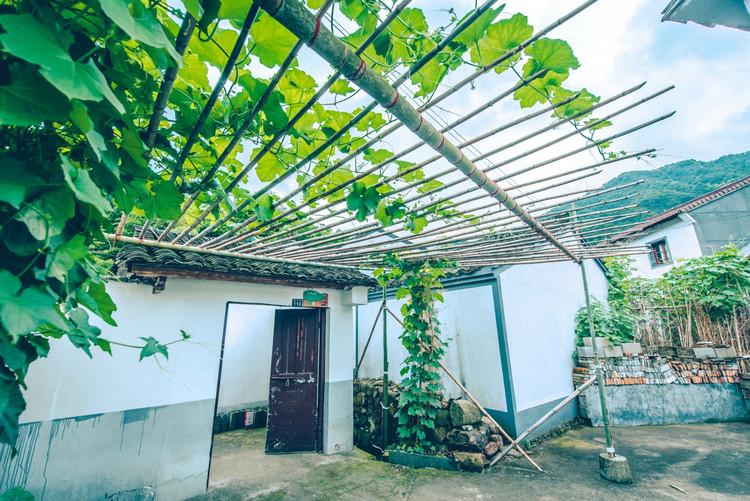 神級茶人最新章節(jié)，探尋自然美景之旅，追尋內(nèi)心平靜之道